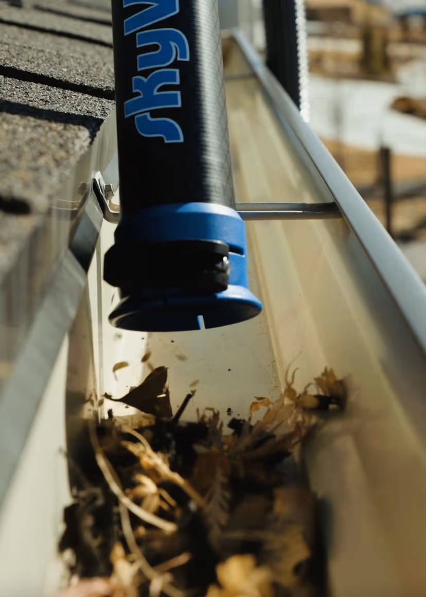 Gutter Cleaning